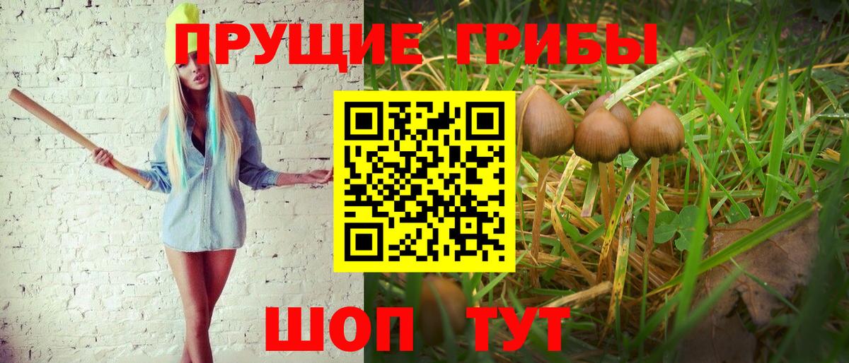 Псилоцибиновые грибы мухоморы Гусиноозёрск